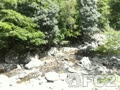 動画：20130909藤川